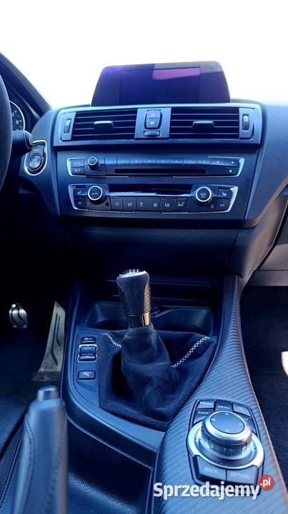 BMW Seria 1 F20 M Sport 20 Benzyna 218 Manual Lublin
