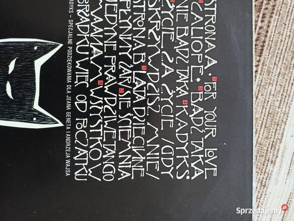 Płyta gramofonowa Maanam Ściemnia się Koszalin