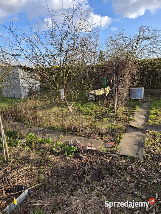 OGRÓDEK DZIAŁKOWY NA KLECINIE ROD PRZYJAŹŃ 300m2 Wrocław