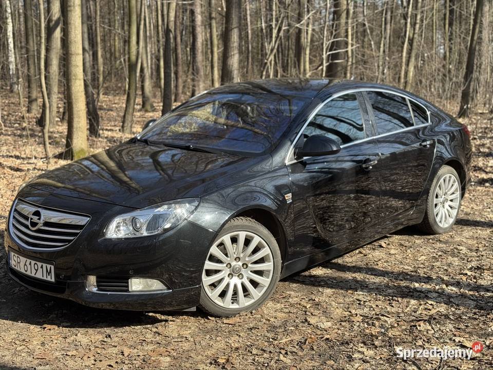 Opel Insignia 20 CDTI 195 4x4 OPC Line lakier metallic