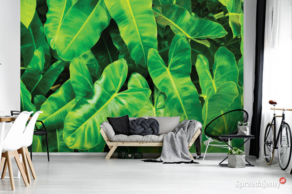 Tapeta fototapeta Liście 3D 12371VE Ściany i elewacje Leszno sprzedam