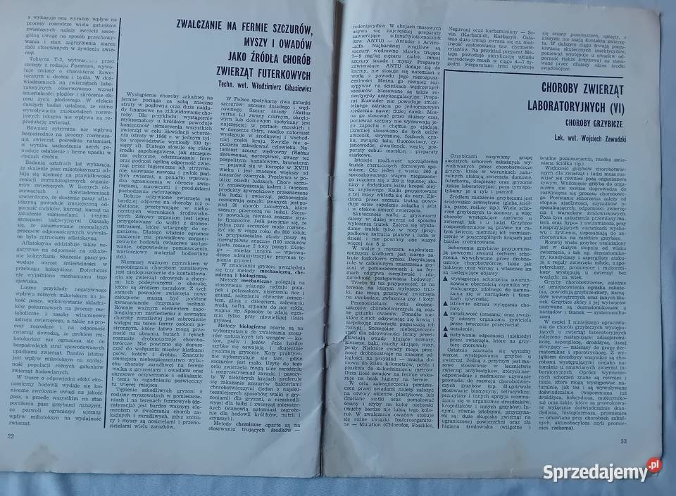 Hodowca Drobnego Inwentarza 4 1977 r Koźminek