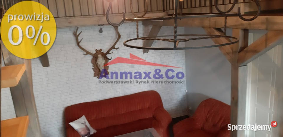 Dwa domy gotowy biznes Strzelniki