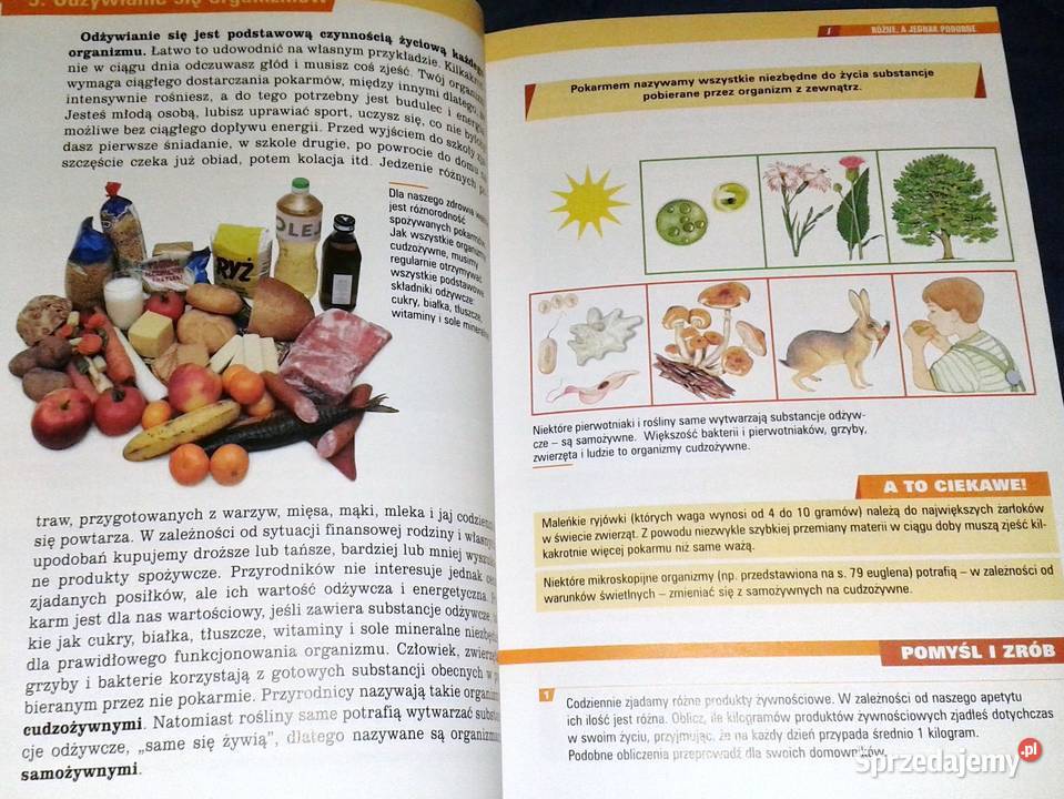 Spotkania z przyrodą 5 A Czubaj R Czubaj R lubelskie Chełm
