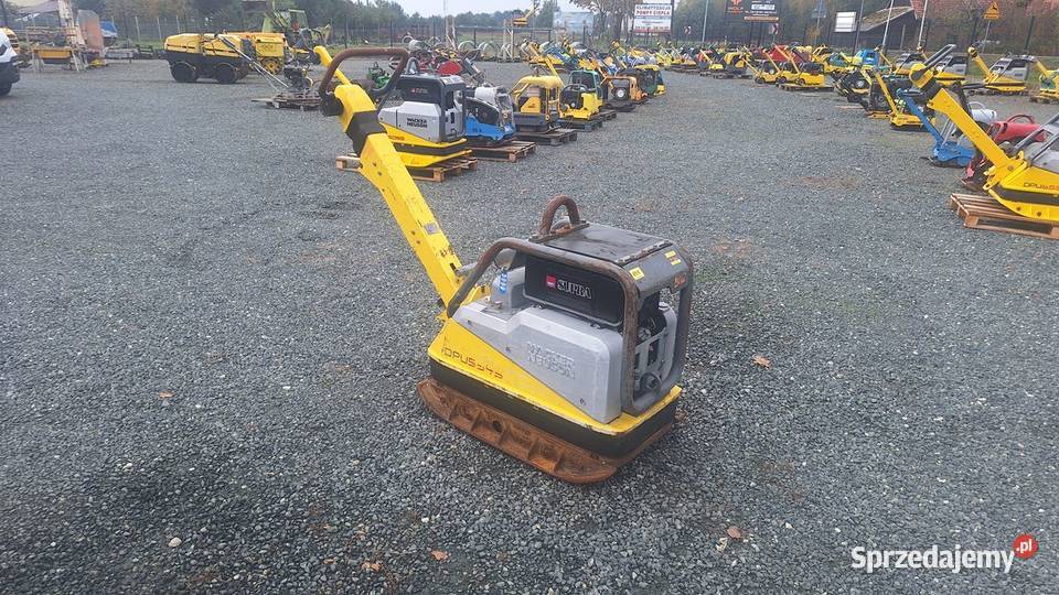 2017 Zagęszczarka Ubijak WACKER NEUSON DPU 5545 Trzebnica