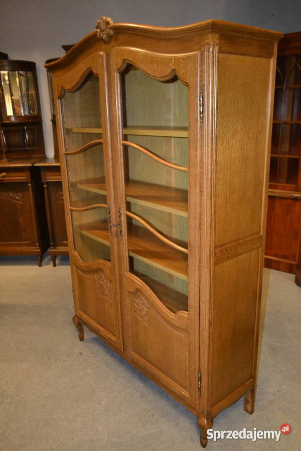 witryna biblioteka ludwikowska dąb Będzin
