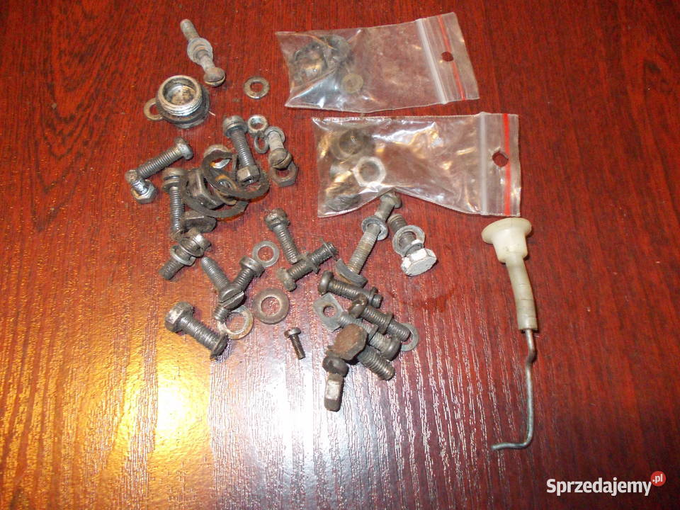 Tajga rózne srubki 1591