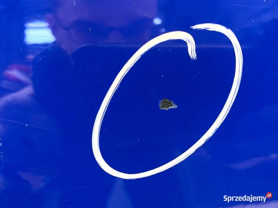 DRZWI LEWY TYŁ SKODA RAPID Hatchback NIEBIESKI osobowe