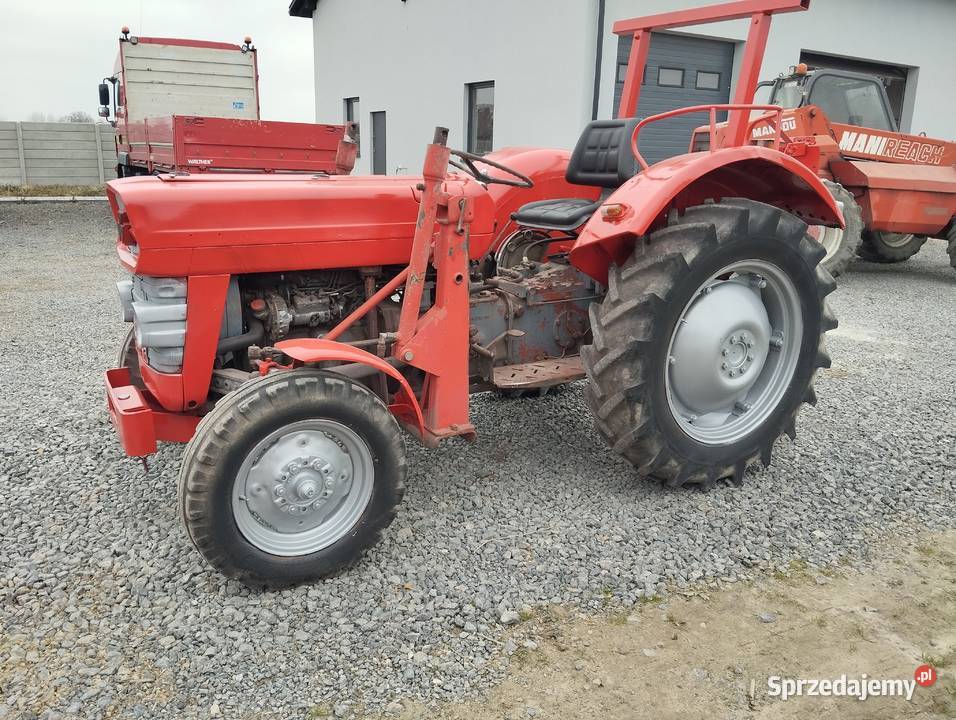 Ciągnik Massey Ferguson 135168 Ciągniki mazowieckie Rawica Nowa