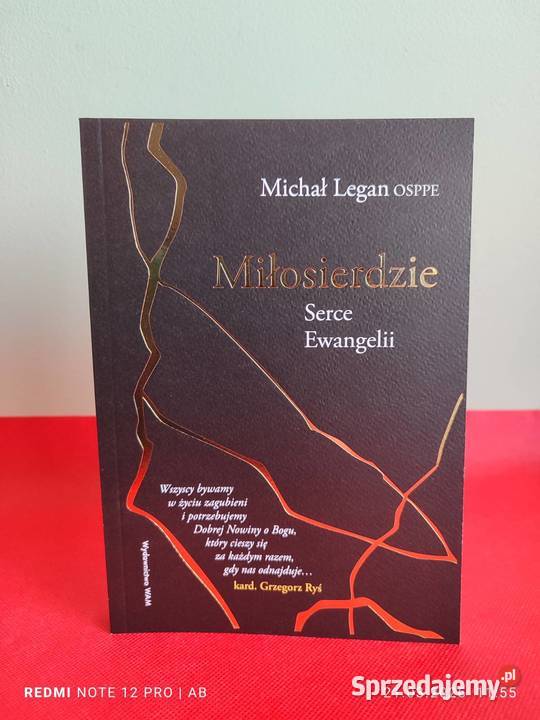 Michał Legan OSPPE Miłosierdzie Serce Ewangelii miękka Katowice