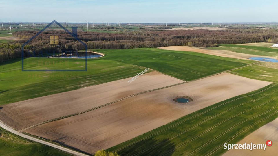 Działka rolna w Limży 1375 ha Limża