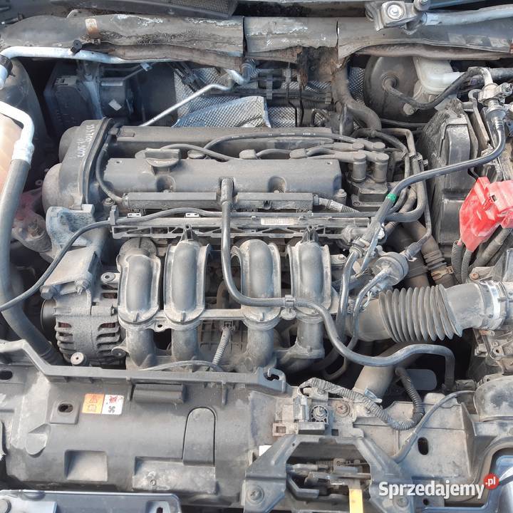 Ford Fiesta mk7 10r 14 benzynacałość części Biała Podlaska