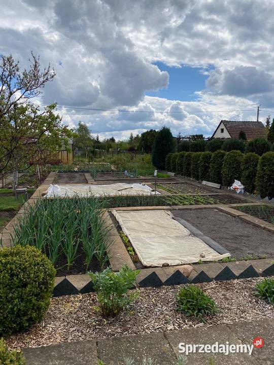 DZIAŁKA ROD STOKROTKASprzedam rekreacyjna Opole