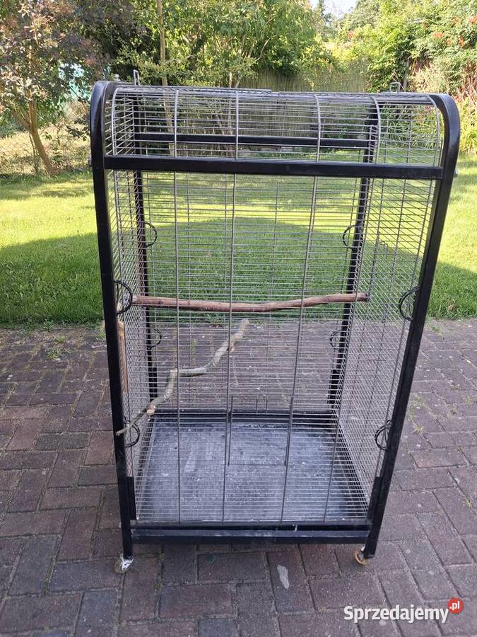 Klatka Zwierzęta wielkopolskie Kliny