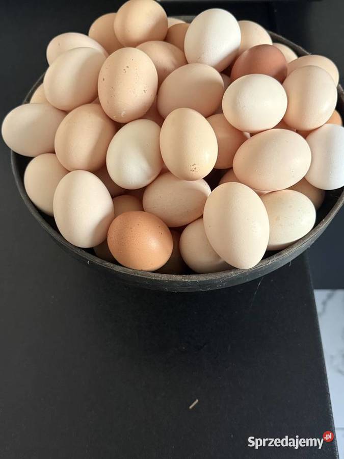 Zdrowe jaja Radom sprzedam