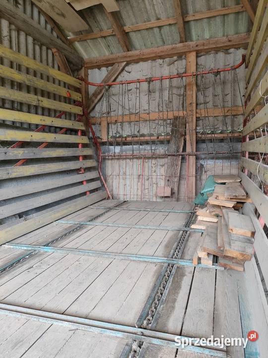 Przyczepa samozbierająca Steyr Hamster Królik Polski