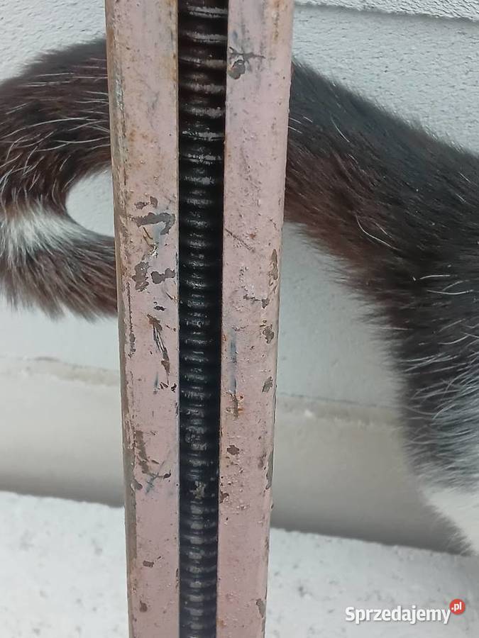 Lewarek podnośnik CCCP Niva Łada Pozostałe Milejewo