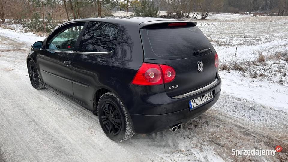 VW Golf V 19Tdi nieuszkodzony