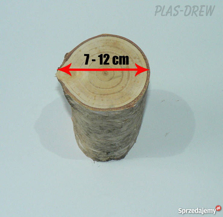 Pieńki dekoracyjne brzozowe wysokość 15 inny kolor