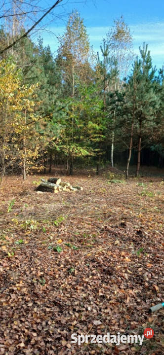 Urokliwa działka z WZ na 2 budynki 32m2 mazowieckie Karolinowo
