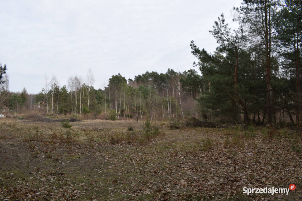 Działki pod budownictwo 1387a Wysoka Głogowska