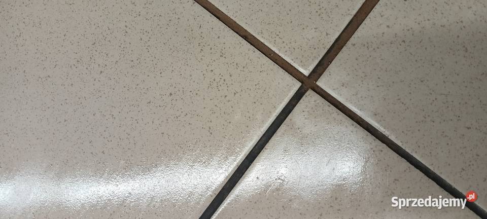 sprzątanie różnego rodzaju pomieszczeń Września