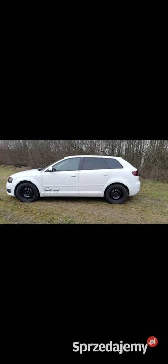 Audi a3 LPG 16 mpi 1595cm3 Pszczyna