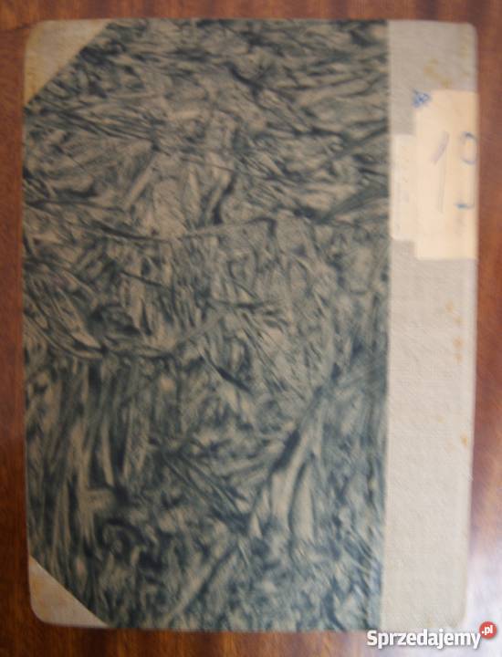 Janina Przeworska Kolorowe dzieci 1946 Książki dla dzieci Parczew sprzedam