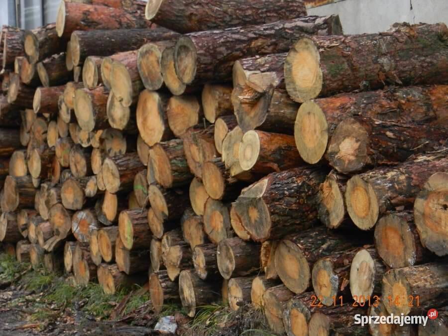 Drewno opalowe kominkowe Sosna 300zl brzoz Żyrardów sprzedam