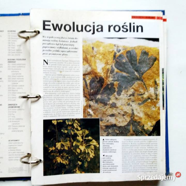 Świat Wiedzy Tom 1 Zwierzęta i rośliny łódzkie Łódź