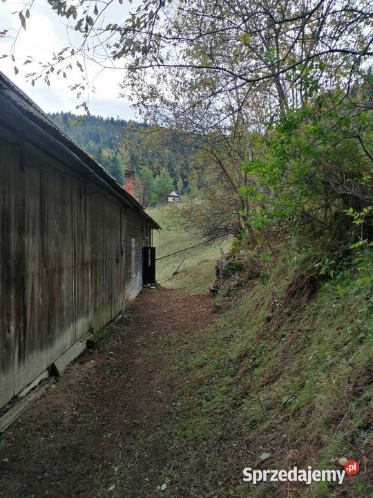 Dom drewniany Piwniczna-Zdrój