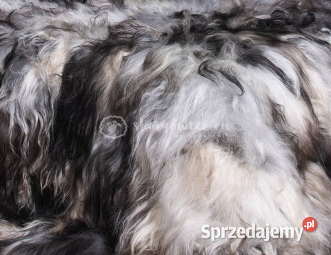 Narzuta ze skóry owczej islandzkiej naturalna Szaflary