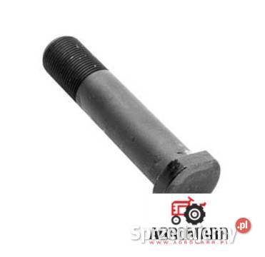 SWORZEŃ CASE 6000102193 115779 Działyń