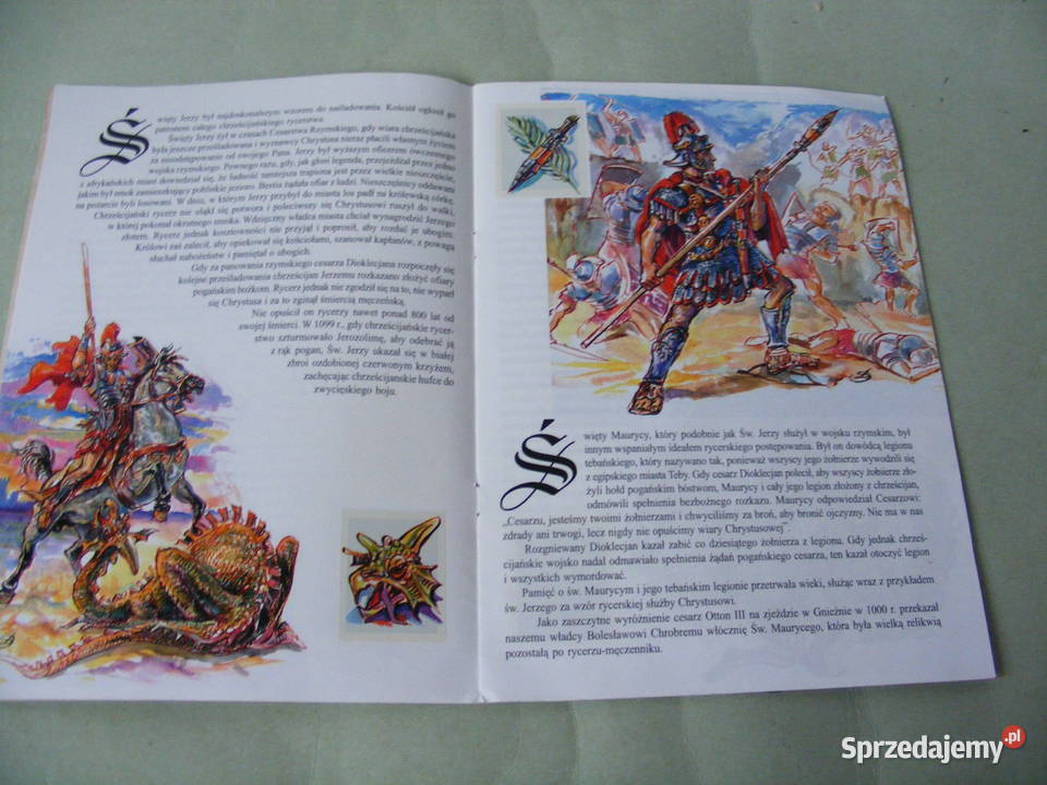 Robin Hood Wielcy rycerze Fiołkową Polaną Oborniki Śląskie