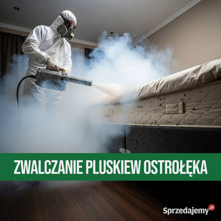 Zwalczanie pluskiew Ostrołęka Odpluskwianie