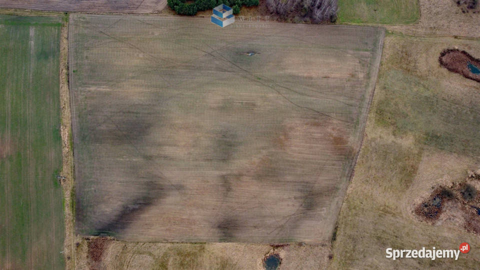 Działka Liwa 35800m2 sprzedam