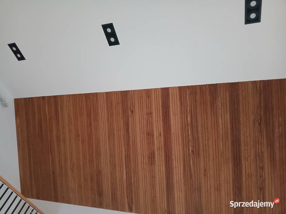 Usługi ogólnobudowlane remonty budynków lubelskie Puławy