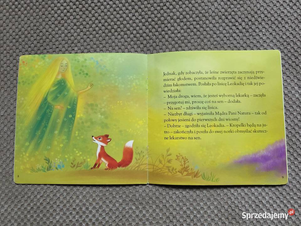 Dlaczego niedźwiedzie zapadają w zimowy sen Bajki i wierszyki małopolskie Kraków sprzedam