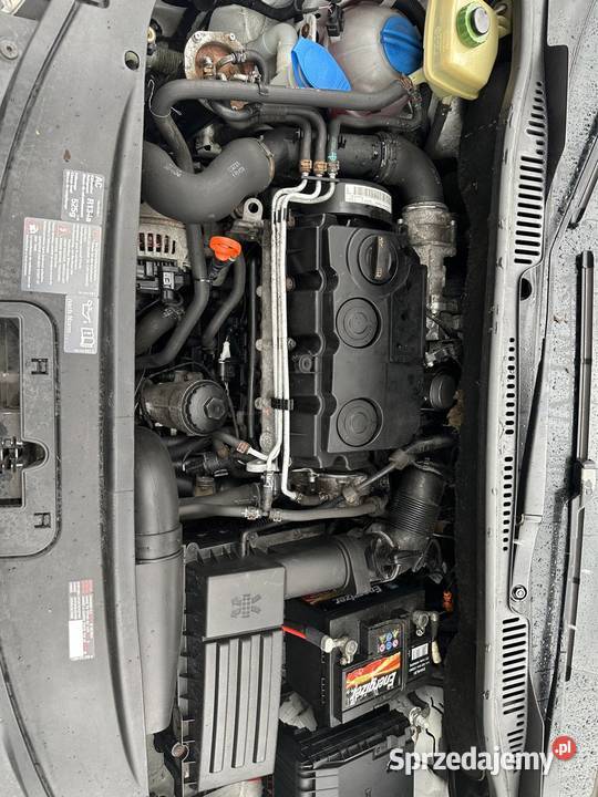 Volkswagen Szczecin