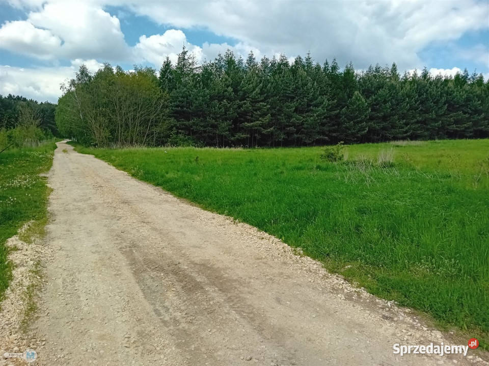Działka 17100 metrów Gnojno 17100m2