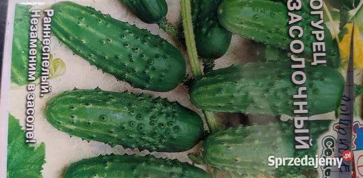 Warzywa ogórki pomidory kolekcjonerskie dolnośląskie Legnica