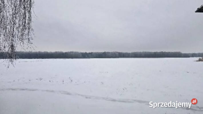 Nieruchomość gruntowa niezabudowana Gęś rolna