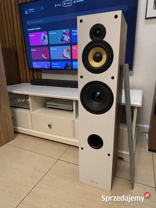 Kolumny podlogowe 3 drozne Davis Acoustics Zielona Łąka