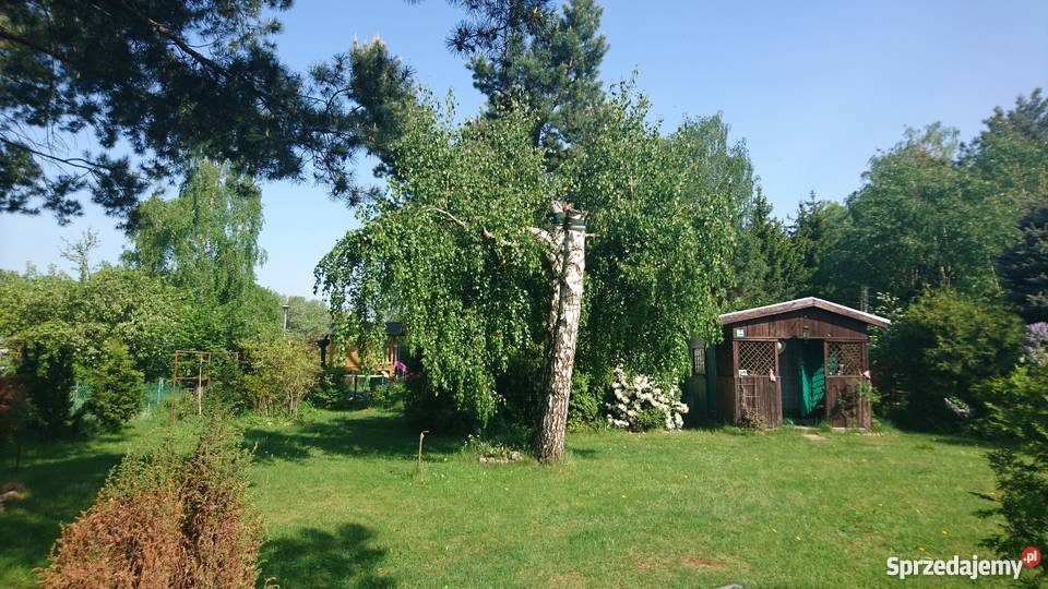 Zadbana działka koło Nadarzyna ROD Kajetany