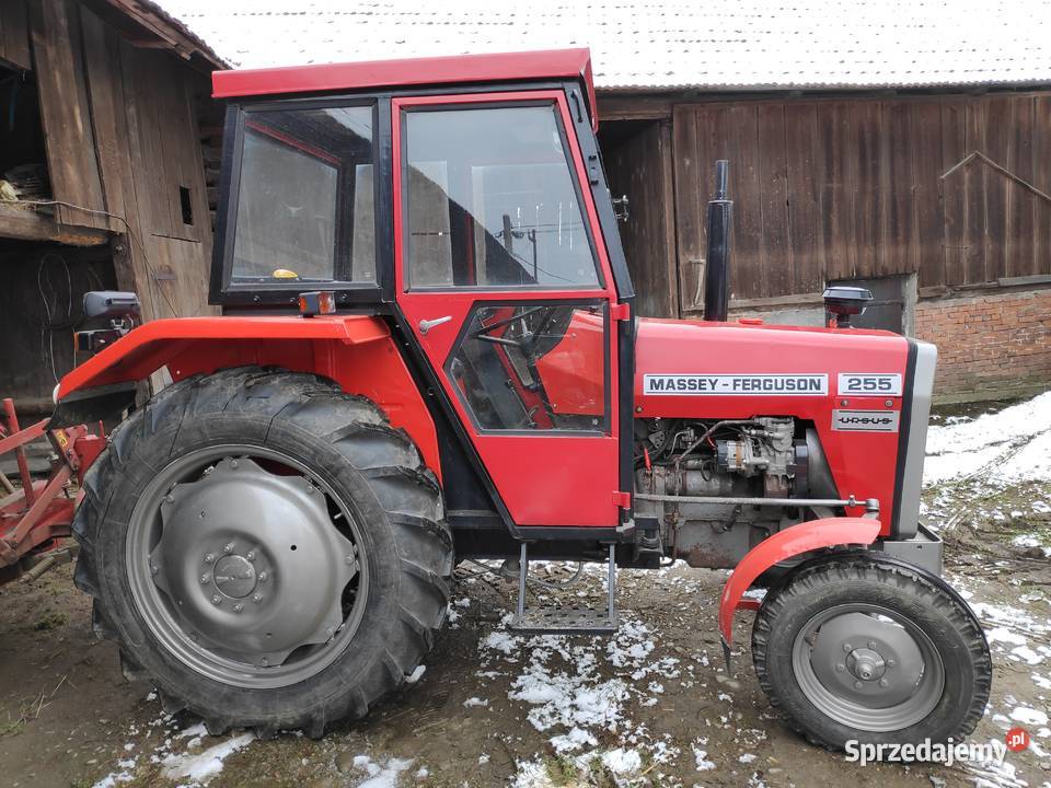 Ciągnik MF 255 1991 Nowy Sącz