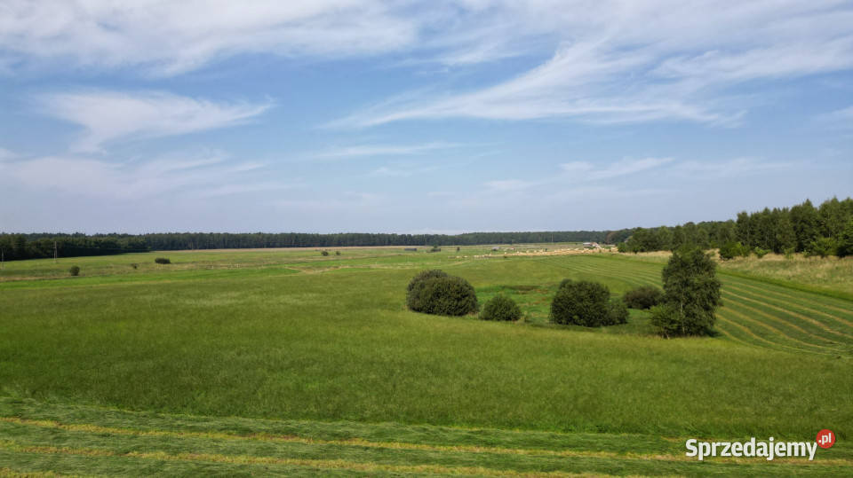 31 ha z MPZP w Choczewie 46zł/m2 Sprzedaż Osieki Lęborskie