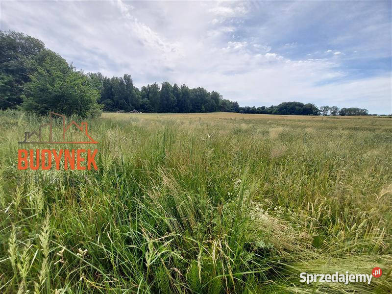 Działka budowlana Boryszewo 57m Sprzedaż