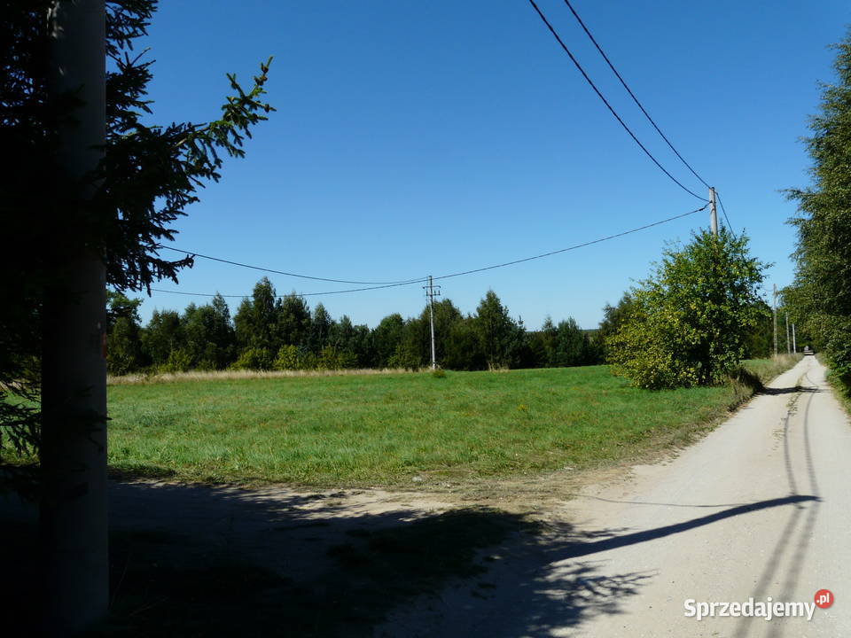 Działka rekreacyjna jeziorem Dobskim Radzieje gm rekreacyjna sprzedam