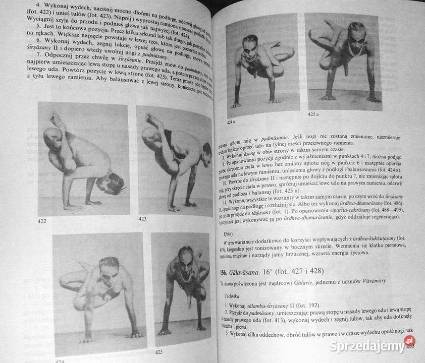 Joga BKS Iyengar Chełm