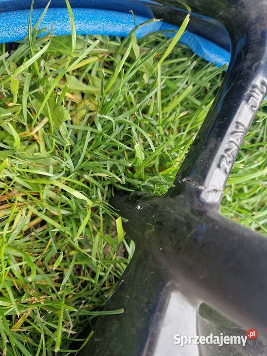 Koło przednie Triumph Tiger 660 sport Motocyklowe Łomianki Dolne